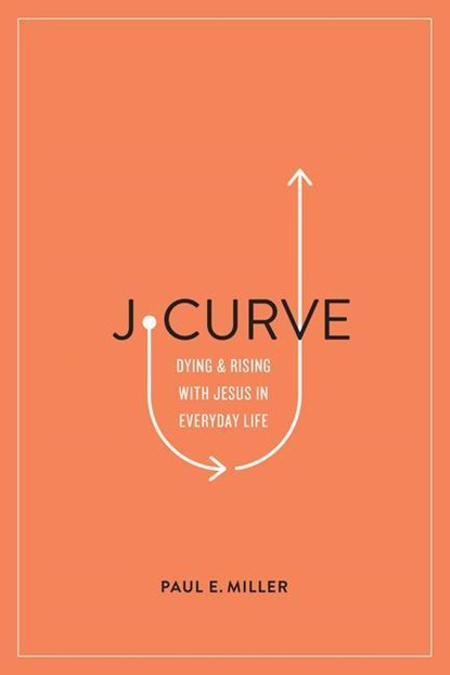 J-Curve, Paul E. Miller - Paperback - 9781433561566