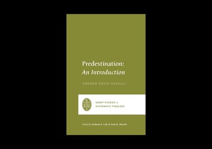 Predestination, Andrew David Naselli - Paperback - 9781433573149