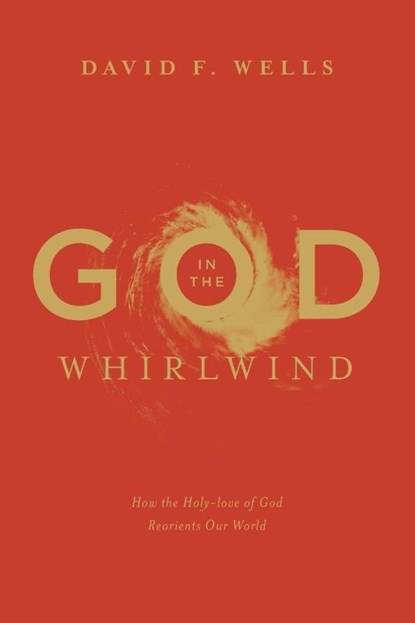 God in the Whirlwind, David F. Wells - Paperback - 9781433578977