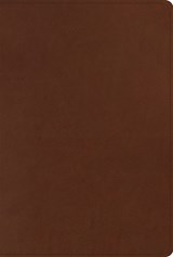 ESV Men's Study Bible - Ray Ortlund - 9781433581632