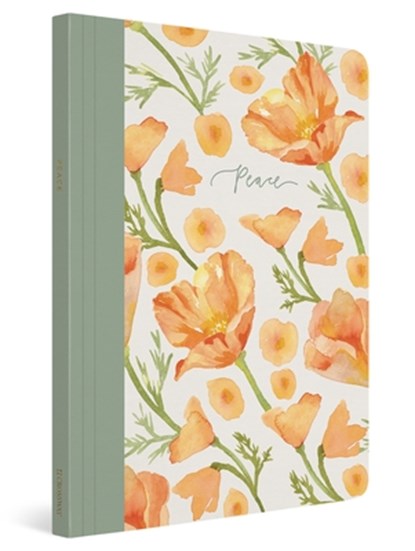 ESV Prayer Journal, Erika Allen - Paperback - 9781433582486