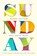 Sunday Matters, Paul David Tripp - Gebonden - 9781433582820
