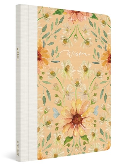 ESV Prayer Journal, Erika Allen - Paperback - 9781433588570