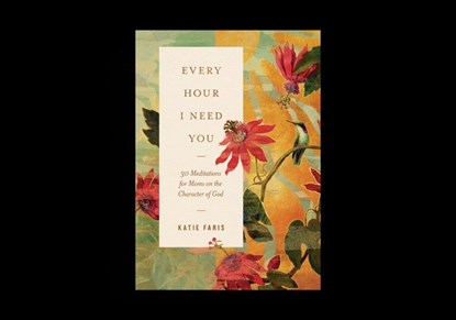 Every Hour I Need You, Katie Faris - Paperback - 9781433598999