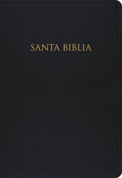 RVR 1960 Biblia para Regalos y Premios, negro imitacion piel, B&H Espanol Editorial Staff - Gebonden - 9781433607936