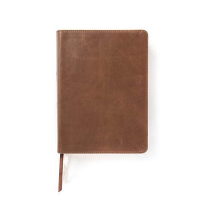CSB She Reads Truth Bible, Brown Genuine Leather, Indexed: Notetaking Space, Devotionals, Reading Plans, Easy-To-Read Font, Raechel Myers - Gebonden - 9781433648250