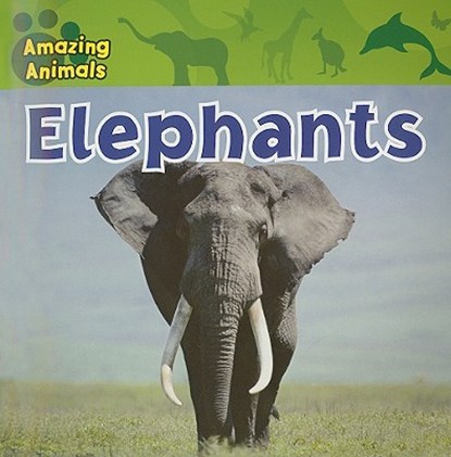 Elephants, Sarah Albee - Paperback - 9781433920134