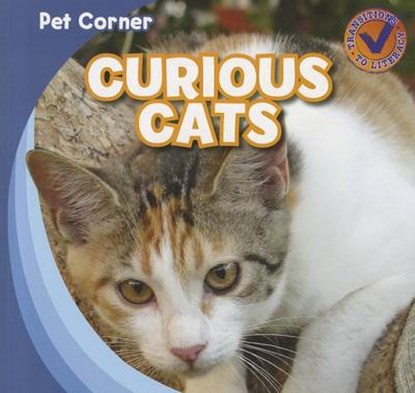 Curious Cats, Katie Kawa - Paperback - 9781433955884