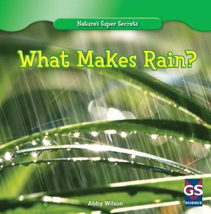 What Makes Rain?, Annmarie Wilson - Paperback - 9781433981715