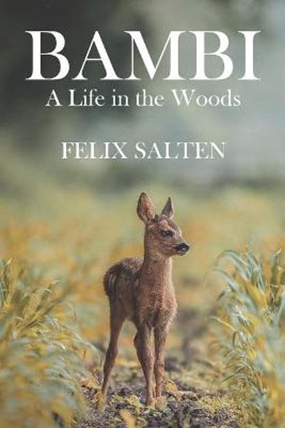 Bambi, A Life in the Woods, Felix Salten - Paperback - 9781434104885