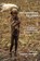 Encountering the Other, Francis Jarman - Paperback - 9781434435507
