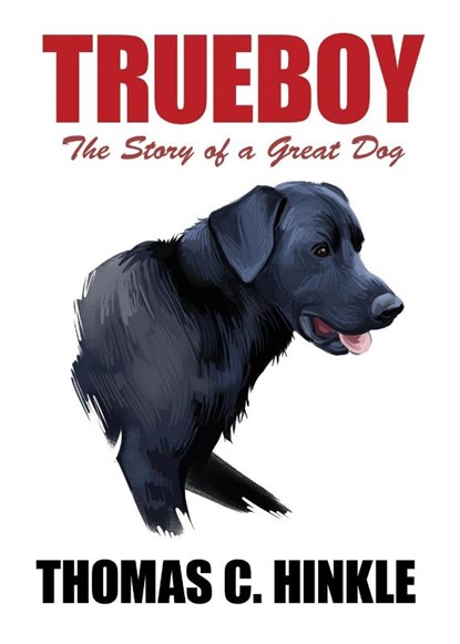Trueboy, Thomas C Hinkle - Paperback - 9781434459480