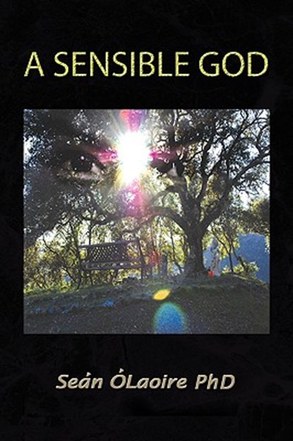 A Sensible God, Sen Laoire ; Sean Olaoire - Paperback - 9781436371377