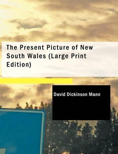The Present Picture of New South Wales, David Dickinson Mann - Paperback - 9781437522365