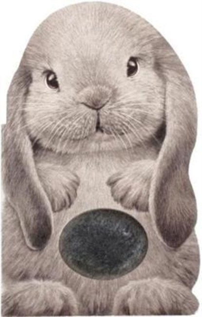 Furry Bunny, Annie Auerbach - Gebonden - 9781438050119