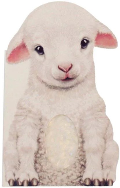 Furry Lamb, Annie Auerbach - Gebonden - 9781438050133