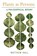 Plants as Persons, Matthew Hall - Paperback - 9781438434285