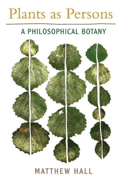 Plants as Persons, Matthew Hall - Paperback - 9781438434285