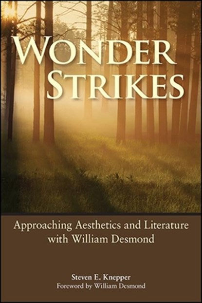 Wonder Strikes, Steven E. Knepper - Paperback - 9781438489568