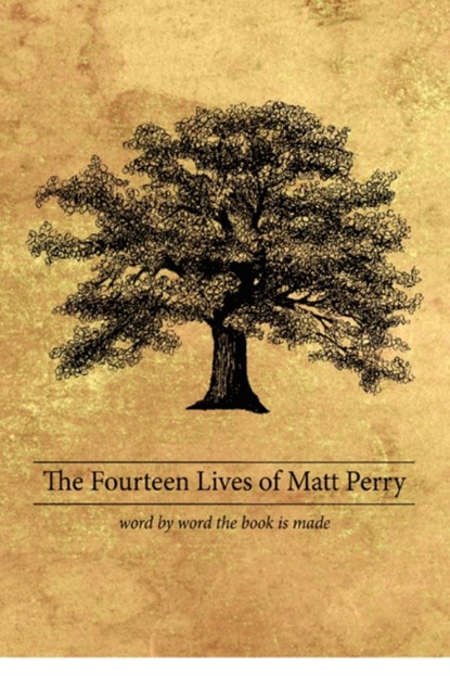 The Fourteen Lives of Matt Perry, Matthew Perry - Paperback - 9781438940076