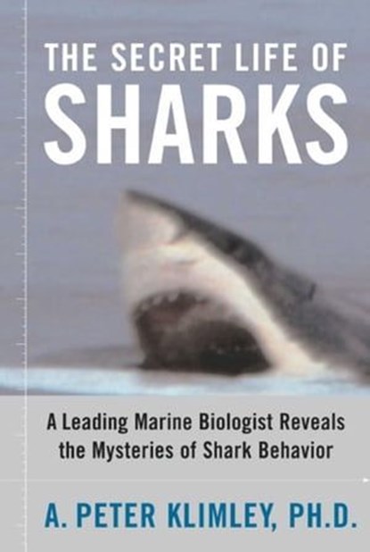The Secret Life of Sharks, A. Peter Klimley, Ph.D. - Ebook - 9781439104316