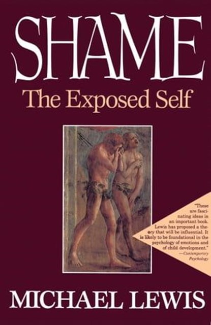 Shame, Michael Lewis - Ebook - 9781439105238