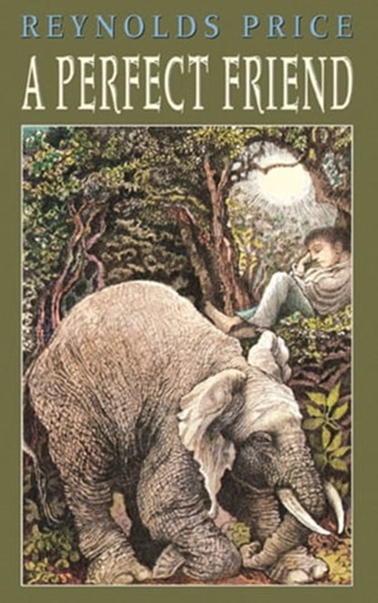 A Perfect Friend, Reynolds Price - Ebook - 9781439106273