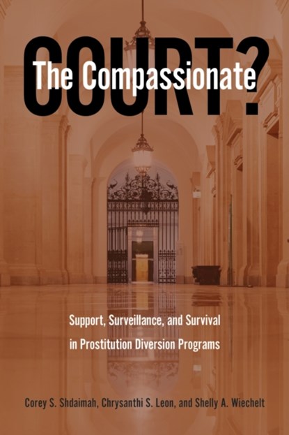 The Compassionate Court?, Corey S. Shdaimah ; Chrysanthi S. Leon ; Shelly A. Wiechelt - Paperback - 9781439922019