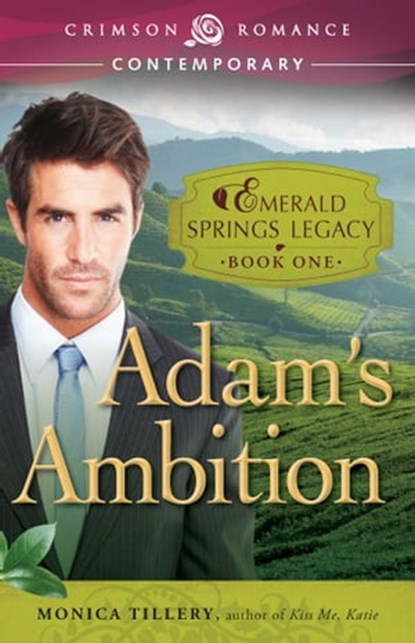 Adam's Ambition, Monica Tillery - Ebook - 9781440570988