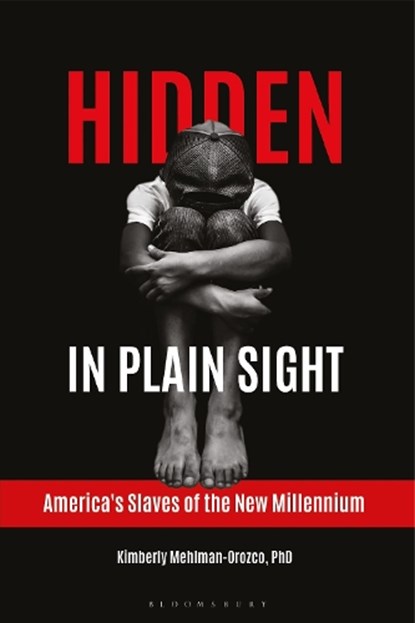 Hidden in Plain Sight, Kimberly Mehlman-Orozco - Gebonden - 9781440854033