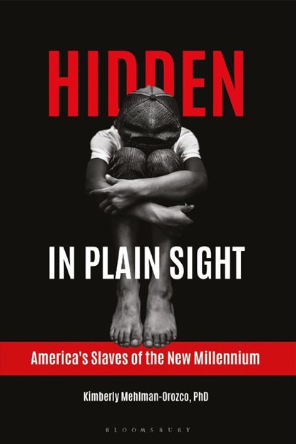 Hidden in Plain Sight, Kimberly Mehlman-Orozco - Gebonden - 9781440854033