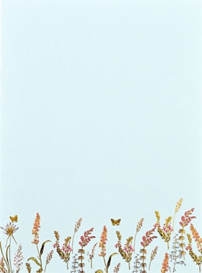 Blooms & Butterflies Boxed Stationery (30 Sheets, 24 Envelopes), Peter Pauper Press Inc - Gebonden - 9781441347794