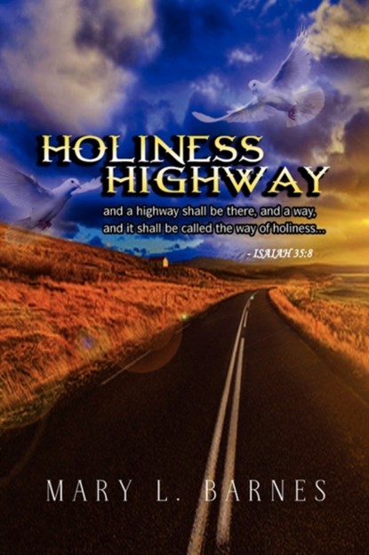 Holiness Highway, Mary L Barnes - Gebonden - 9781441553669