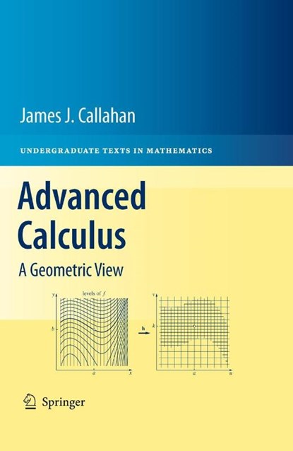 Advanced Calculus, James J. Callahan - Gebonden - 9781441973313