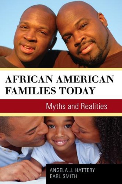 African American Families Today, Angela J. Hattery ; Earl Smith - Paperback - 9781442213975