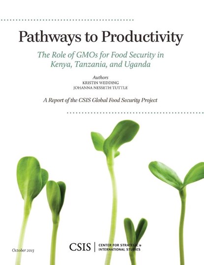 Pathways to Productivity, Kristin Wedding ; Johanna Nesseth Tuttle - Paperback - 9781442227873