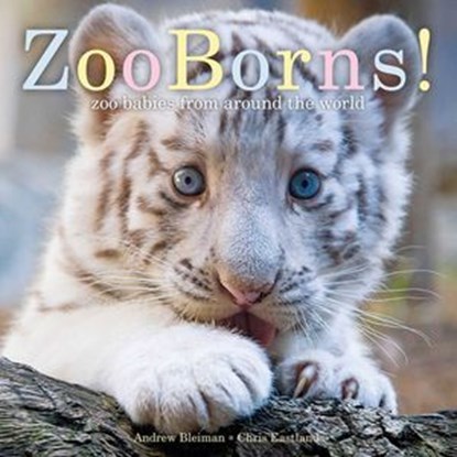 ZooBorns!, Andrew Bleiman ; Chris Eastland - Ebook - 9781442436763