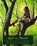 Into the Woods, BURLEIGH,  Robert - Paperback - 9781442453371