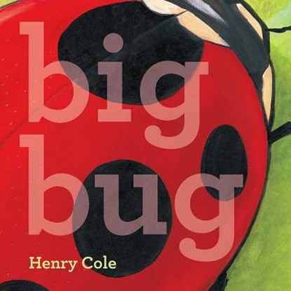 Big Bug, Henry Cole - Gebonden - 9781442498976