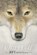 Old Wolf: A Fable, Avi - Paperback - 9781442499225