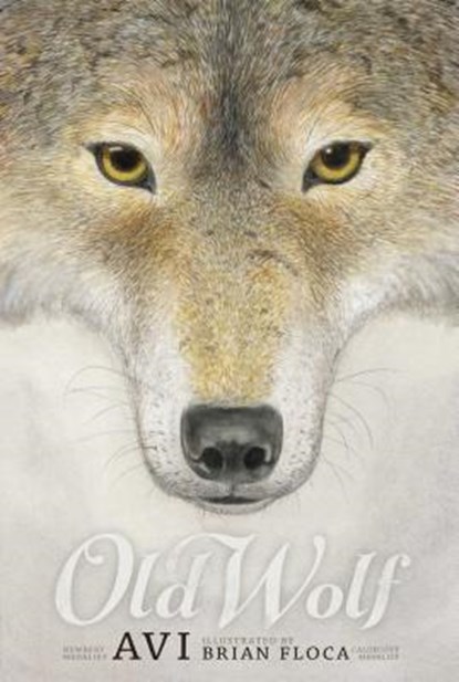 Old Wolf: A Fable, Avi - Paperback - 9781442499225
