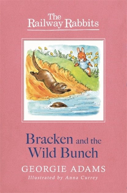 Railway Rabbits: Bracken and the Wild Bunch, Georgie Adams - Paperback - 9781444012255