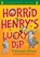Horrid Henry's Lucky Dip, SIMON,  Francesca - Gebonden - 9781444015911