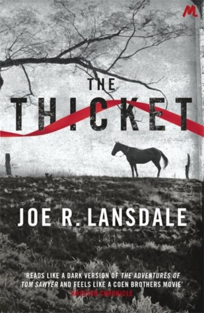The Thicket, Joe R. Lansdale - Paperback - 9781444736922