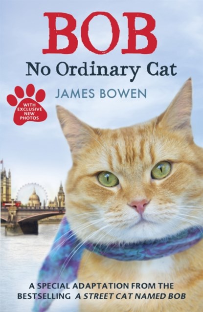 Bob, James Bowen - Paperback - 9781444764901