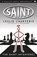 The Saint Intervenes, Leslie Charteris - Paperback - 9781444766103