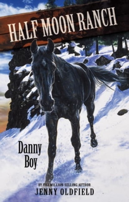 Danny Boy, Jenny Oldfield - Ebook - 9781444905717
