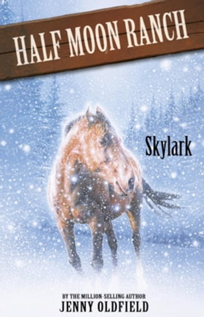 Skylark, Jenny Oldfield - Ebook - 9781444905793