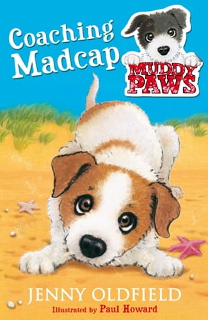 Coaching Madcap, Jenny Oldfield - Ebook - 9781444913224