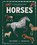 Horses, Lucy Thorn - Gebonden - 9781444981247